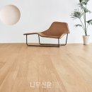 포레스타 이미지