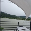 불모산장어 이미지