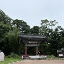화로수 | 경북 경주 기림사 6월 7월 수국 명소 가볼만한 곳 경주여행 문무대왕릉 근처 힐링 산책코스