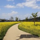 밀리터리 테마공원 화장실 이미지