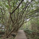 신성공원 이미지