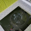 사림동216 이미지