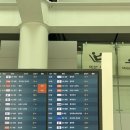 스시요요기 | 스카이트리 쓰키지 스시 오마카세 시부야 신주쿠 요요기 우동신 웨이팅 꿀팁 후기 돈키호테 니혼바시...