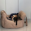 포항시북구14 | 포항 왁싱 잘하는 곳 저자극 브라질리언 왁싱 애프터눈뷰티스튜디오 후기