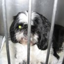 연서 동물병원 이미지