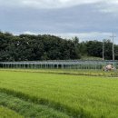 해바라기태양광발전소 이미지