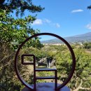 팔공산올레길 7코스 | 제주 올레길 7코스 완주 후기(소요시간/난이도/올레여행자센터~서귀포버스터미널)