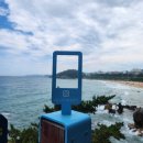 (주)묵호택시 이미지