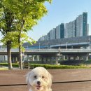 바로슬동물병원 네이버블로그