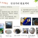 제1인산가리(수용성) 이미지