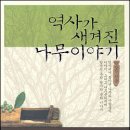 Re:우라질 놈의 사랑나무 소개 이미지