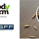 농업회사법인 비에스에프팜(주) 이미지