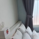 구룡포침구 이미지