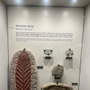 태형안전 | [대전] 국립중앙과학관 자연사관&amp;인류관 관람후기