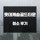 롯데캐슬 클리닝(Cleaning) | 용인 성복역롯데캐슬골드타운 오피스텔 입주청소 후기