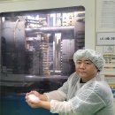 제주890 이미지