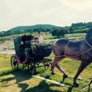 승희목장 이미지