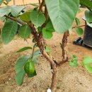 기현농장 이미지