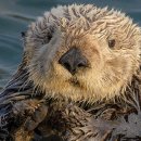 도구로 112 이미지