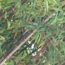 중앙동292 이미지