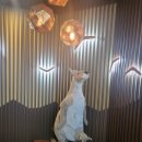 비에이치씨 남천점 이미지