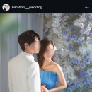 벨라스튜디오 | W3. 스튜디오(바라봄) 및 본식 스냅(벨라스냅) 계약 후기
