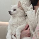 24시 공감365동물의료센터 이미지