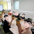 친환경 식물키움