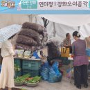 강화오이총각