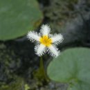 소망자동차 이미지