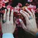 중앙동118 이미지