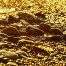 주전몽돌해변3(화장실) 이미지