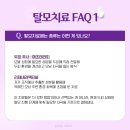 안남초등학교 | 계양구탈모병원 중년남성 탈모치료 어떻게 진행될까? 리제네라액티바 실제 진행 방법