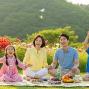 가족 당일 여행 함평 여행 코스 추천 이미지