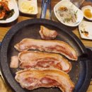 참소박사 이미지