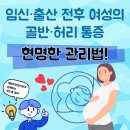 뽀빠이연합의원 | [뽀빠이연합의원/반월당역]임신·출산 전후 여성의 골반·허리 통증― 주차별로 달라지는 몸, 그리고...