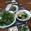 마산아구찜，굴 이미지