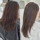 포항 시내 미용실 리아헤어플래너 북구 레이어드컷 붙임머리 예약 주차장 팁