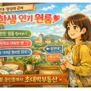 초대박공인중개사사무소 네이버블로그
