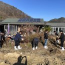 금산군청 이미지