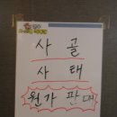 영월목장 이미지