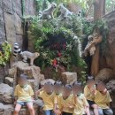 신임마누엘어린이집 이미지