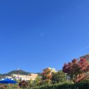 화순고려병원 | [갑상선암] 갑상선 광주 화순전대병원 초진 후기
