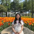 유림-27 | 대전 유림공원 튤립 만개 상황, 주차, 포토스팟