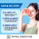 제이에스성형외과의원 네이버블로그
