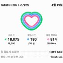 홍산마늘대유억제탄살포후밀짚모자를쓰고만보인증걷기운동 18,075보13.89km 이미지