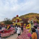 대구수목원 이미지