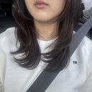 미래머리방 네이버블로그