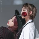 다미 이미지