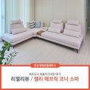 지상남성경로당 | #안성공도 효성해링턴플레이스 59A 타입 입주 가구로 엘리 소파를 선택한 이유💘